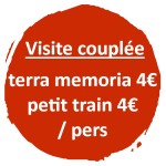tarif groupe tm+train
